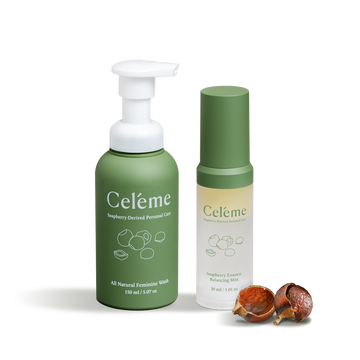 Celebrate Everyday Set