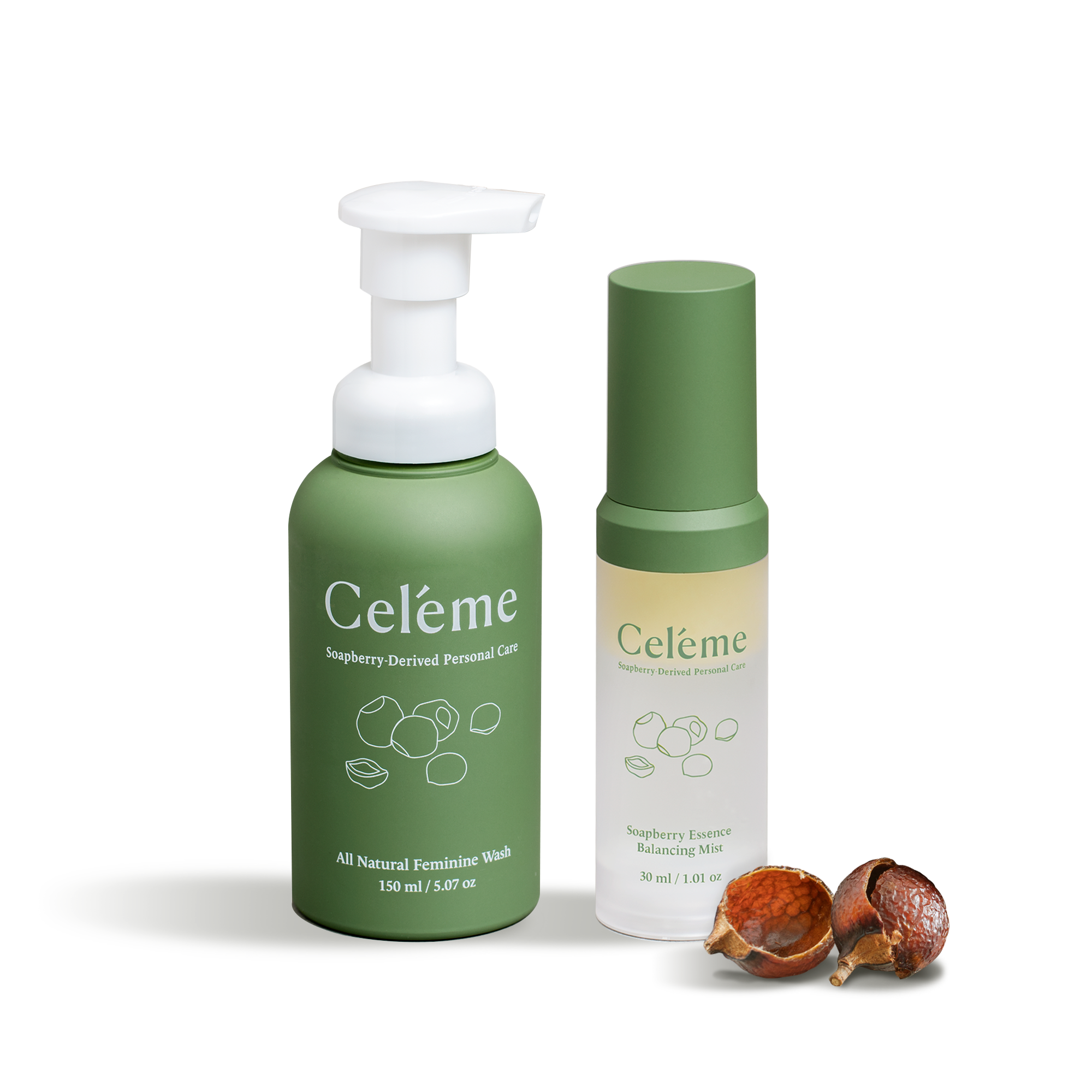 Celebrate Everyday Set